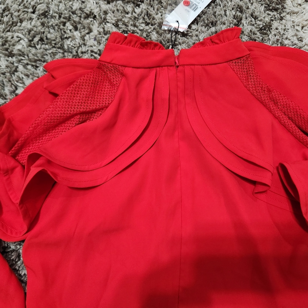 WHY DRESS -Ruffle MESH LONG SLEEVE Size L - Picture 5 of 7
